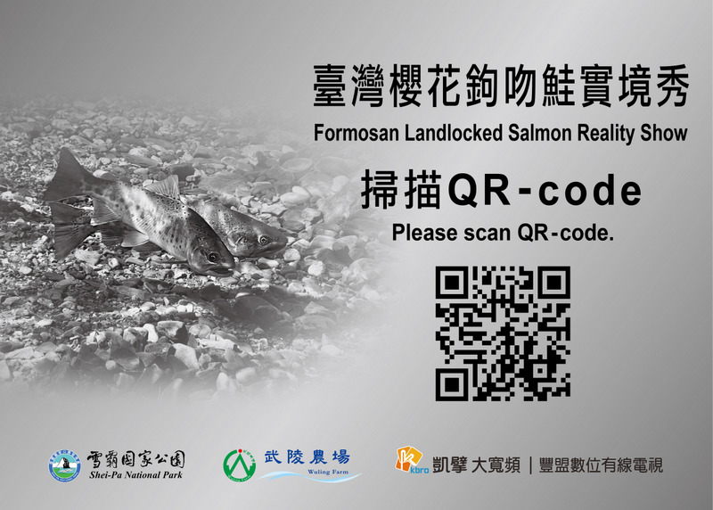 實境秀告示牌