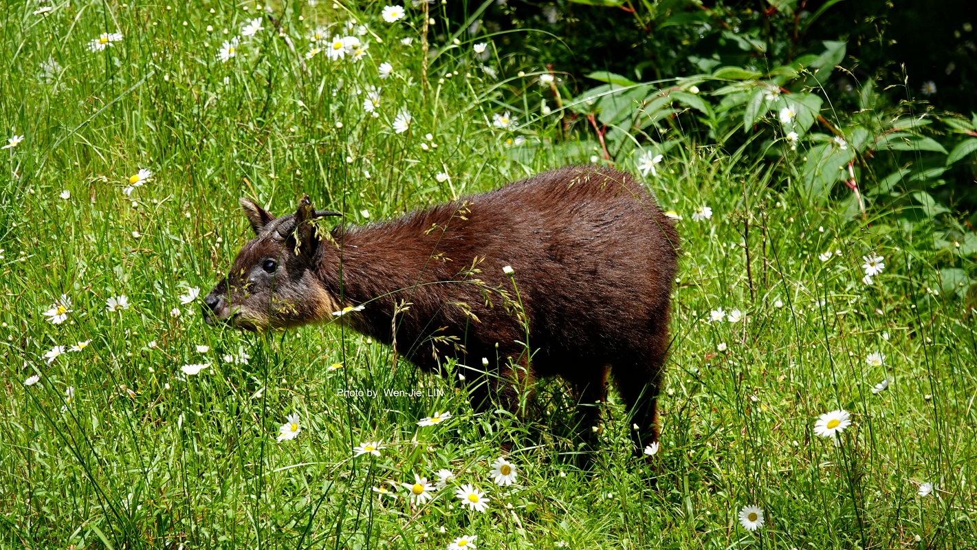 After entering the mountains, please adopt the new pandemic-prevention mindset for hiking. Hike with respect, humility, and leave no traces.