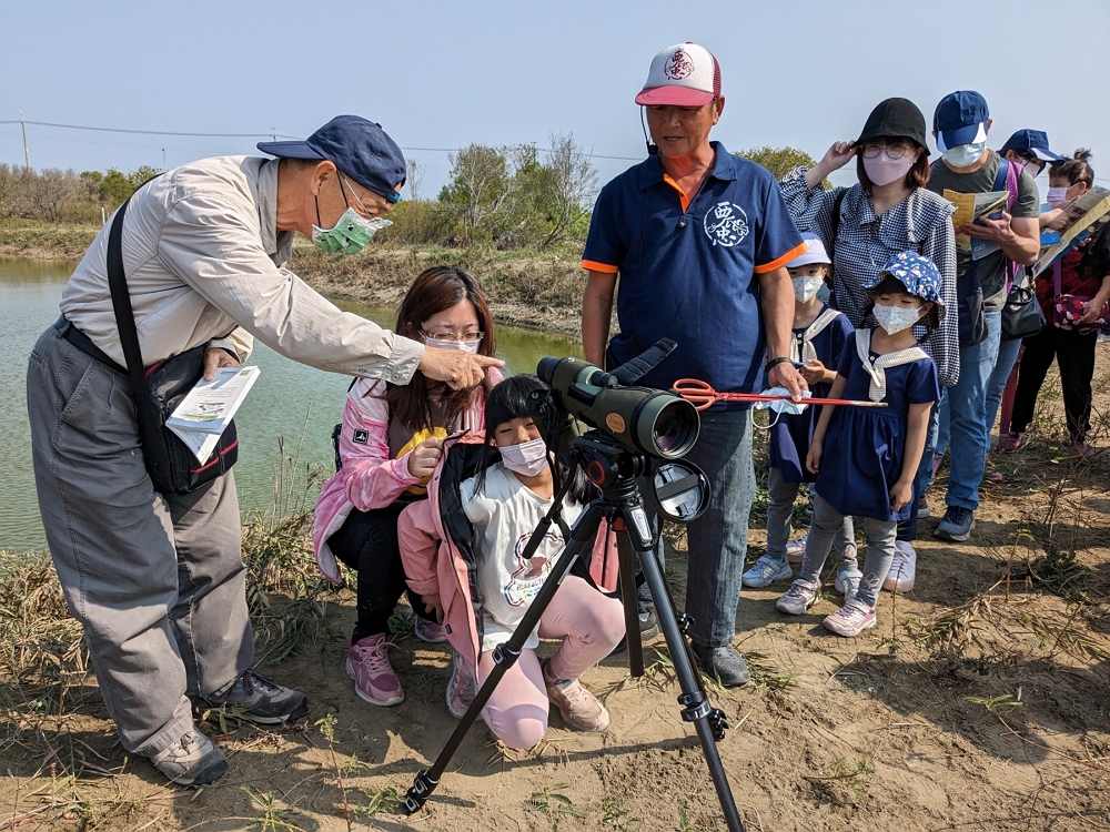 城西魚塭看黑琵與水鳥/台管處提供