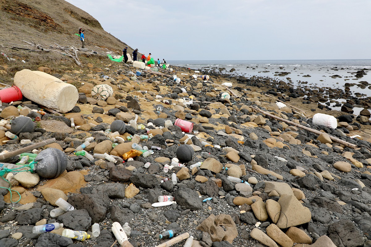 東吉嶼大坪樣區海漂垃圾清理前