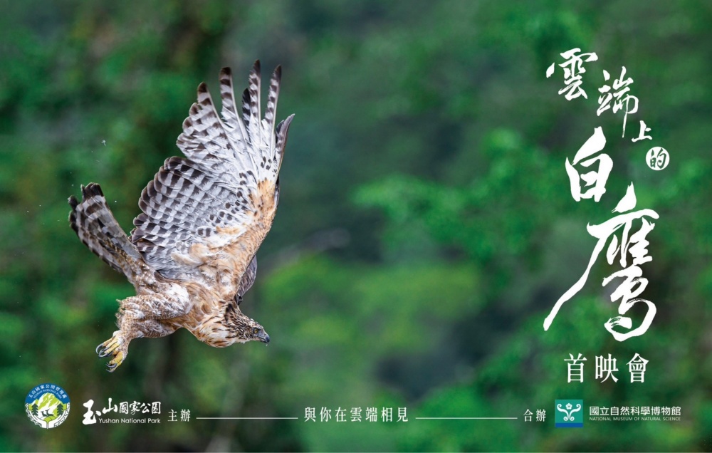  《雲端上的白鷹》首映會宣傳