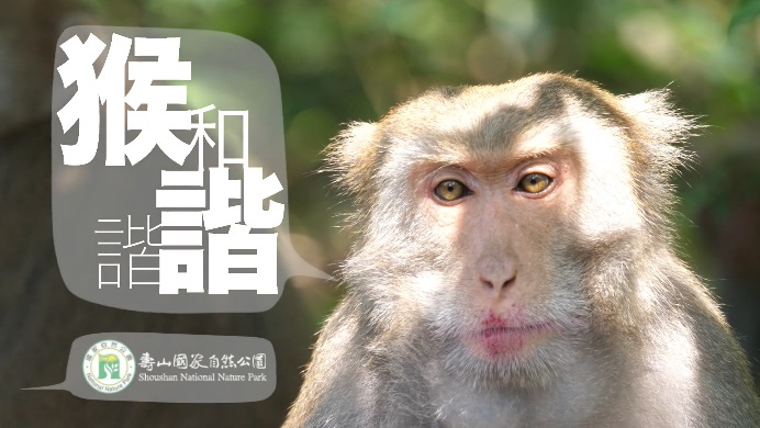 「猴諧和諧」影片劇照