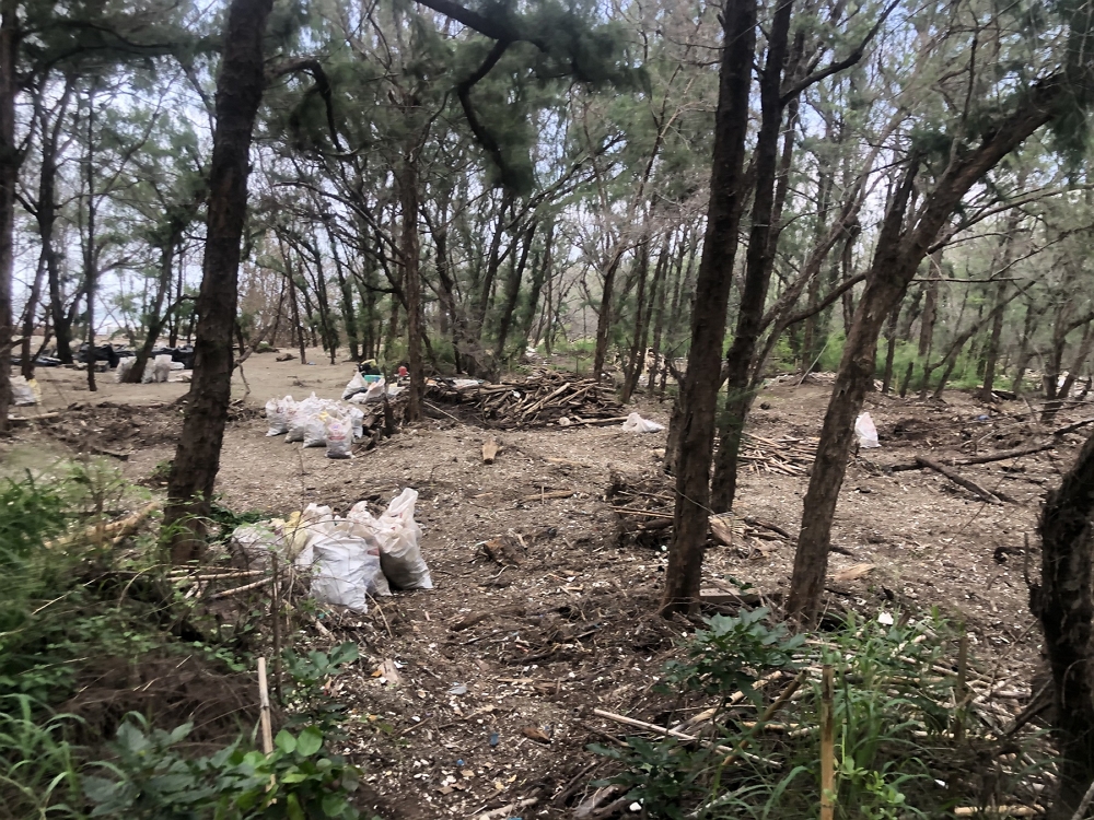 網仔寮沙洲南側步道清理後現況/台管處提供