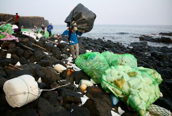 海管處同仁參與淨灘活動