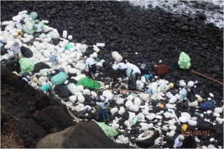  Coast full of polystyrene.