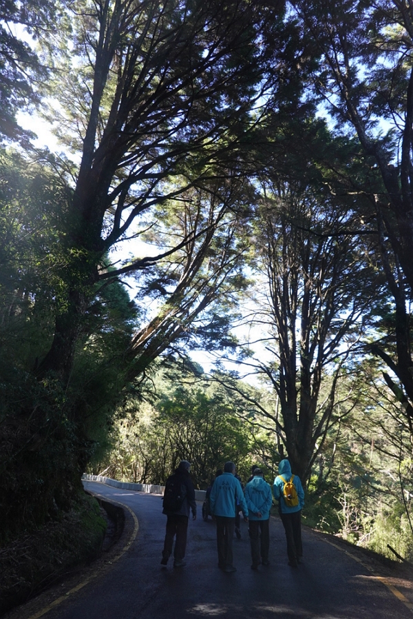 往麟趾山口無障礙步道/營建署國家公園組提供