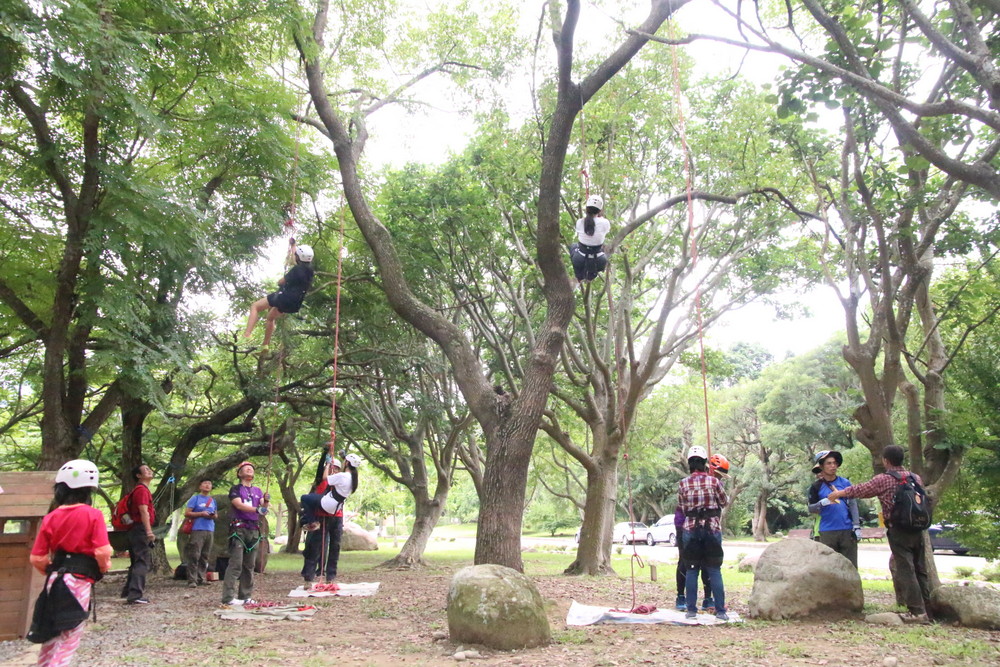 tree-climbing experiences