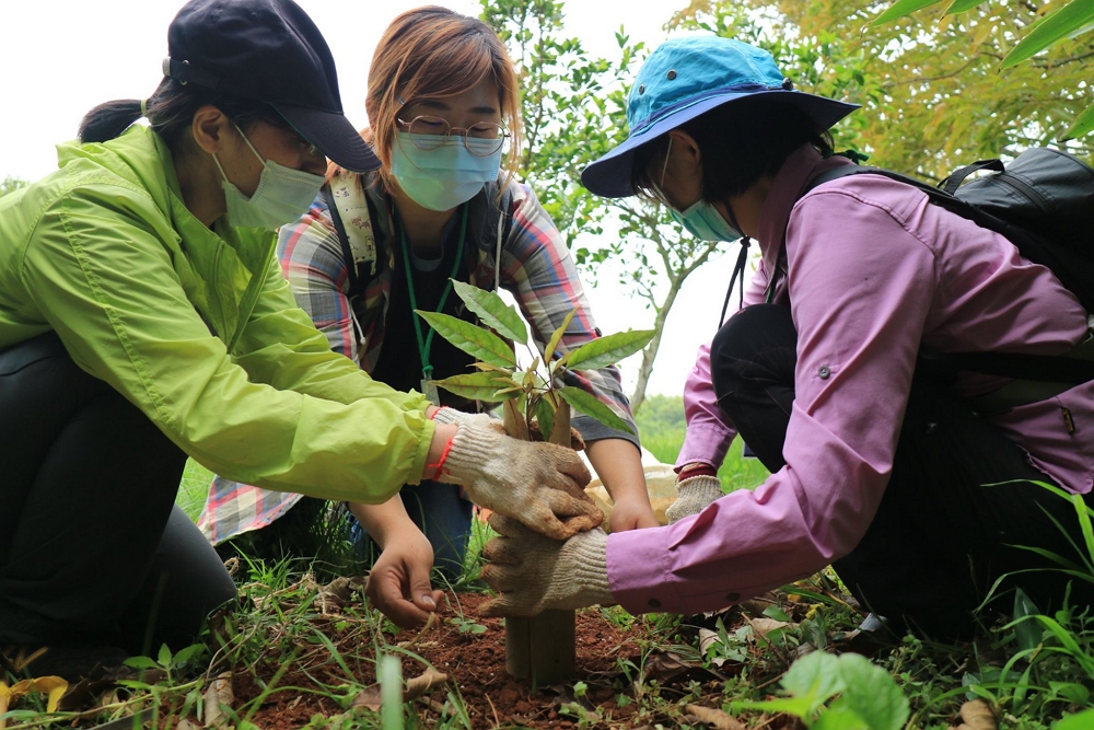 民眾參與植樹/自管處提供