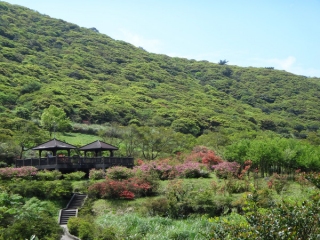 大屯自然公園